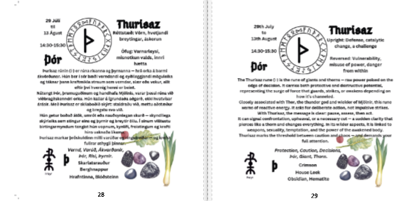 Illustrated Guide to the Nordic Runes Icelandic & English - Custom Cover - Wire-O brochure - Silk paper