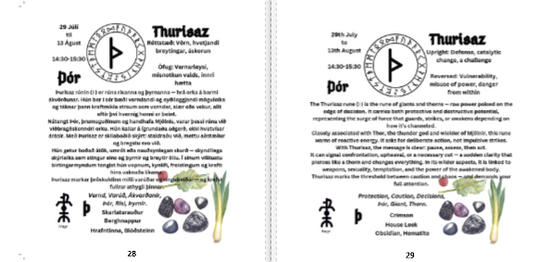 Illustrated Guide to the Nordic Runes Icelandic & English - Custom Cover - Wire-O brochure - Silk paper