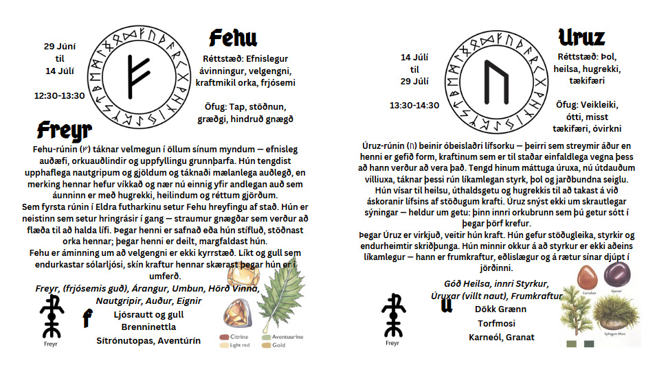 Myndskreyttur Leiðarvísir að Elder Futhark Rúnunum á Íslensku -  Sérmerktur - Silki pappír