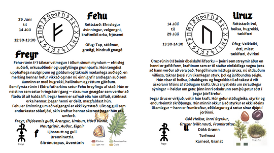 Illustrated Guide to the Nordic Runes Icelandic & English - Custom Cover - Wire-O brochure - Silk paper